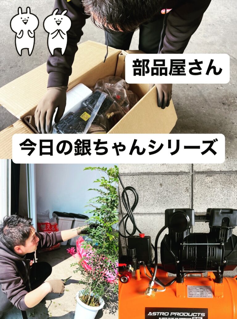 うちの銀ちゃんは何屋さんなんでしょう？笑