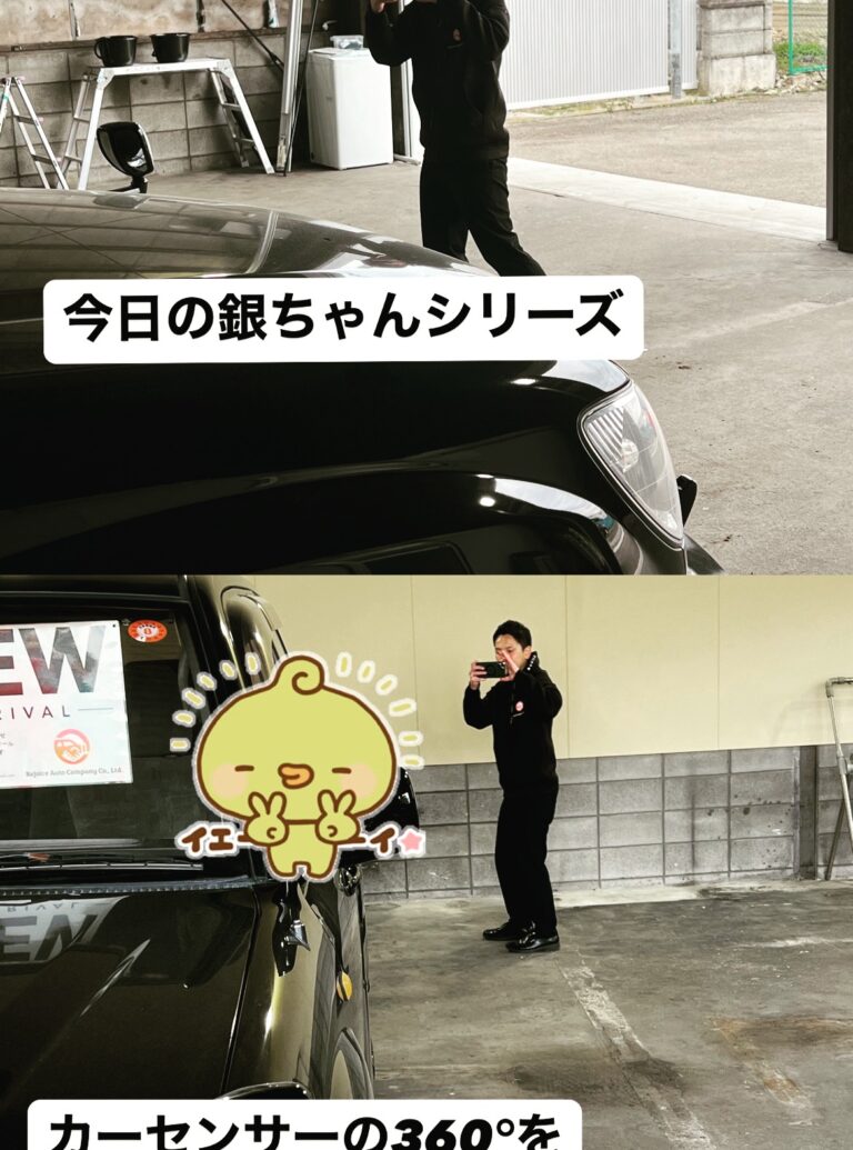 今日の銀ちゃんはカーセンサーに載せる360°写真の撮影中！