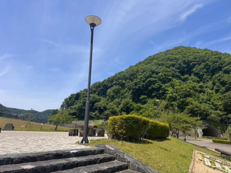 社長から送られてきた写真！